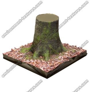 Tree Trunk RAW 3D Scan #2